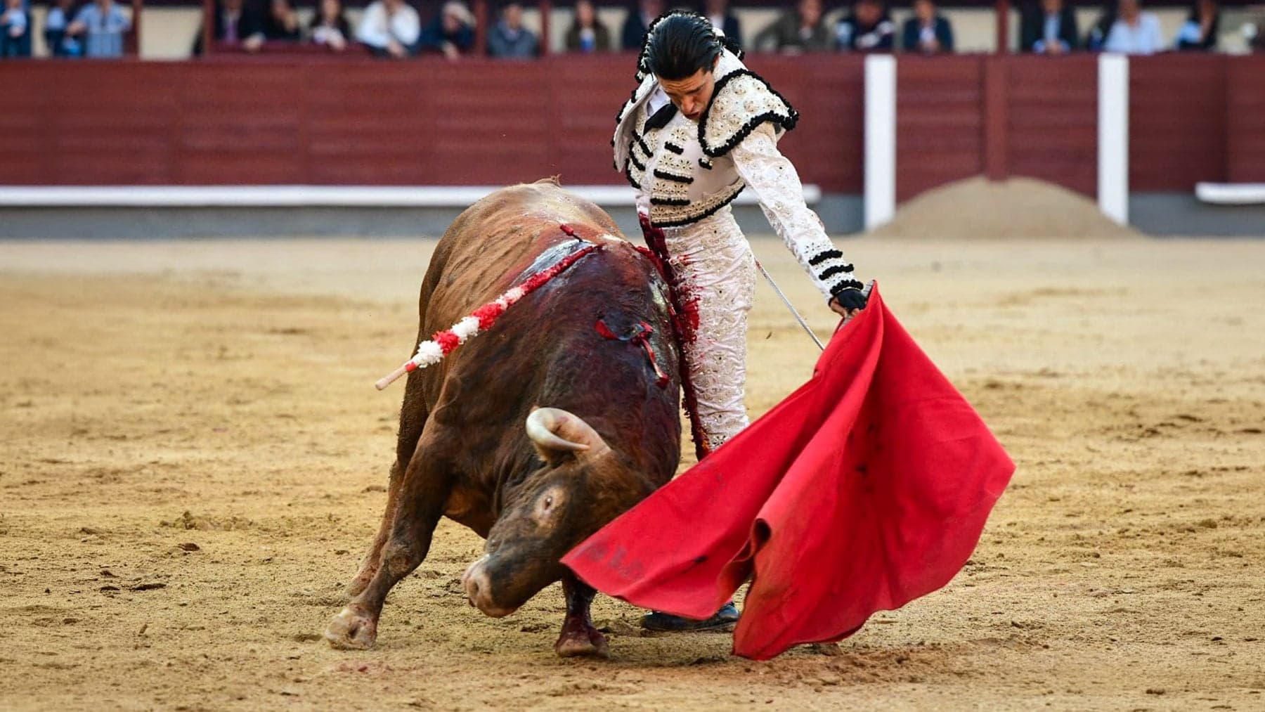 Talavante arrasa en Las Ventas